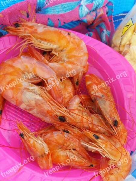 Shrimp Red Food Healthy Nature