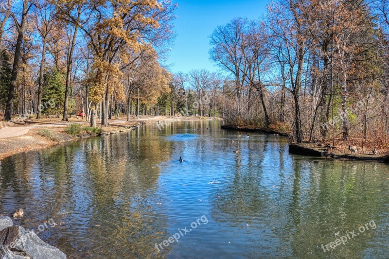 Autumn Pond Trees Park Water