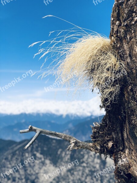 Nature Sky Landscape Summer Atmosphere