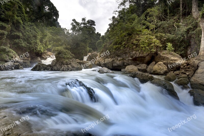 The Waterfall Top College Vietnam Natural Plant