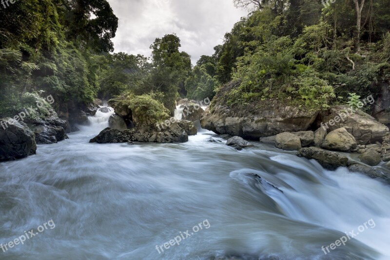 The Waterfall Top College Vietnam Natural Plant