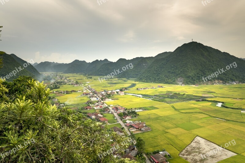 Bac Son Silk Field The Valley Vietnam