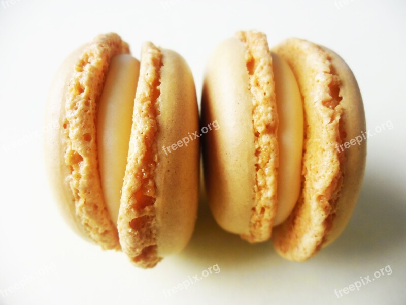 Macarons Hazelnut Light Brown Sweet Cookies