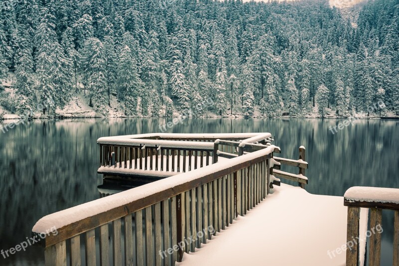 Black Forest Waldsee Winter Mirroring Jetty