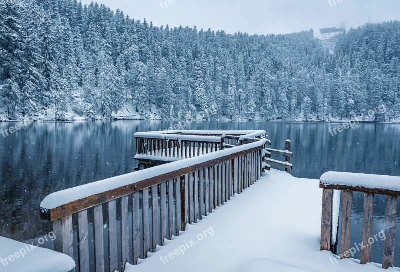 Black Forest Waldsee Mirroring Snow Jetty