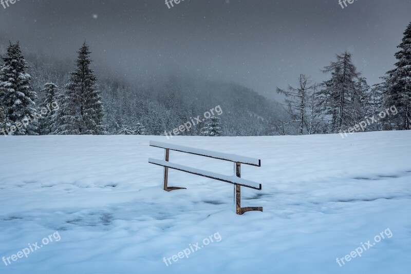 Black Forest Winter Mood Bank Snow Trees