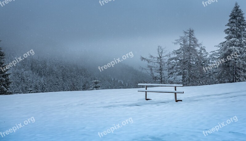 Black Forest Winter Mood Bank Snow Trees