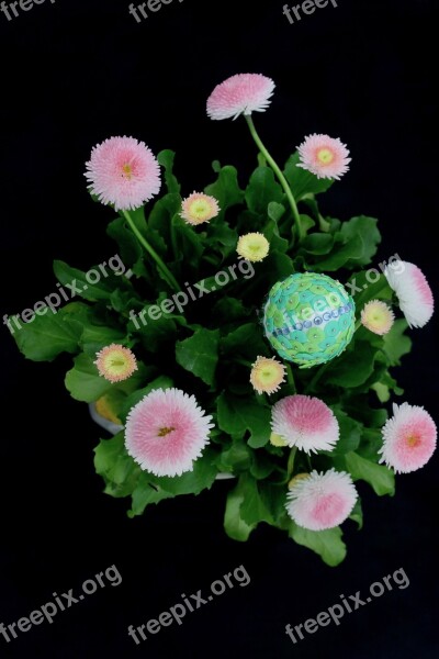 Easter Egg Flowers Decorative Colored