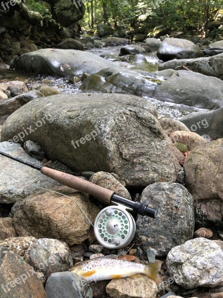 Fishing Virgina Fly Fishing Fly Trout