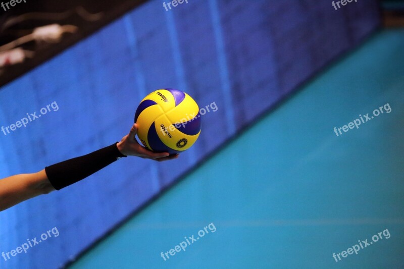 Volleyball Premium Player Ball Volley