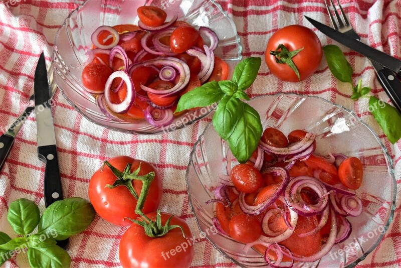 Tomatoes Tomato Salad Onion Red Basil