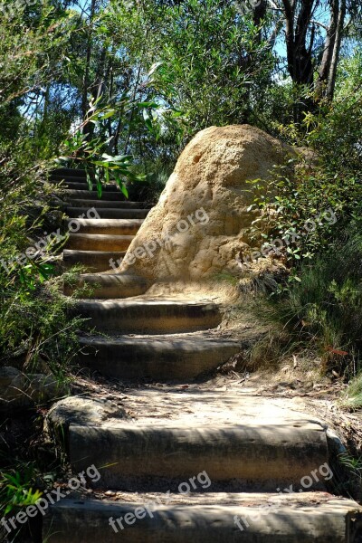 Trail Away Gradually Stairs Blue Mountains