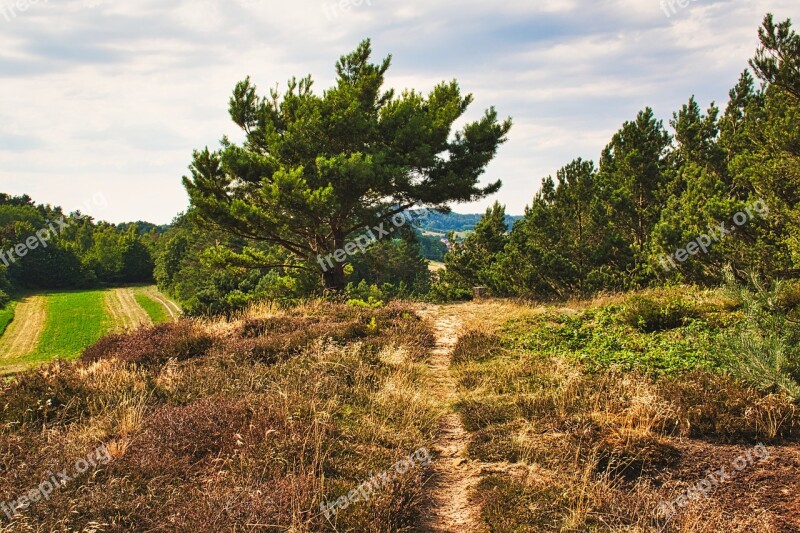 Landscape King Rocks Resin Nature Forest