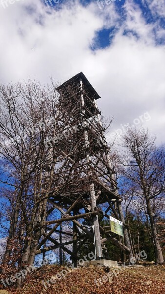 Lookout Nature Forest Tourism View