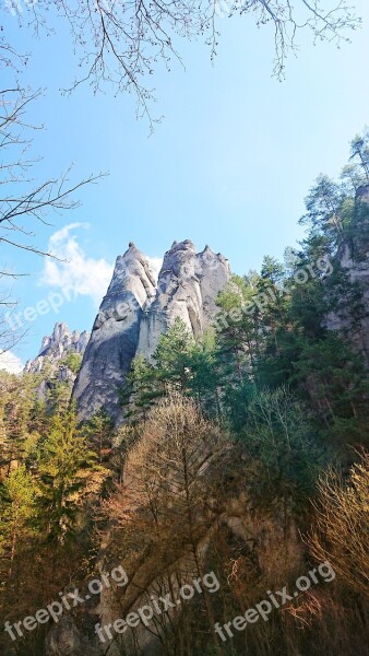 Nature Forest Tourism View The Sky