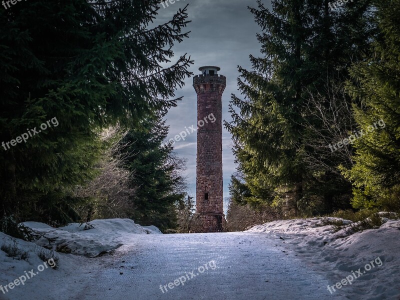 Black Forest Fir Tree Winter Tower Nature