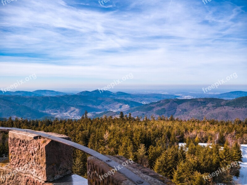 Black Forest Fir Tree Winter Tower Nature