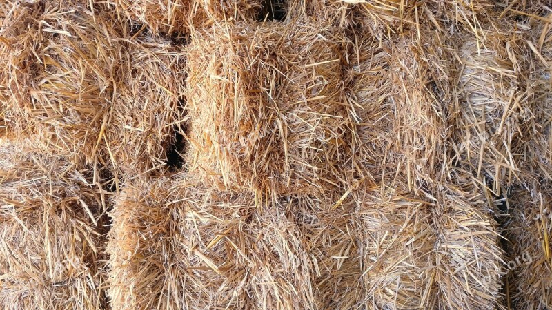 Straw Farm Rural Nature Texture