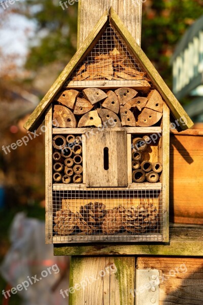 Insect Hotel Insect Summer Insect House Insect Box