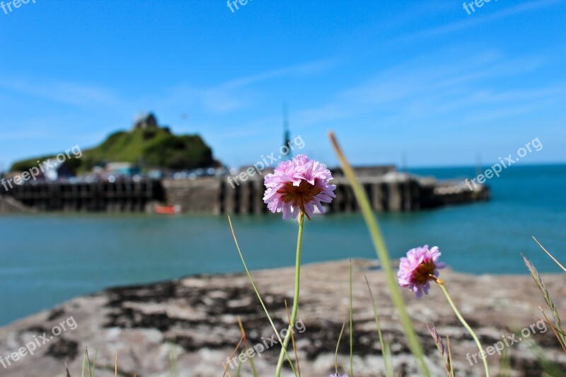 Ilfracombe Verity Damien Hirst Sculpture Art