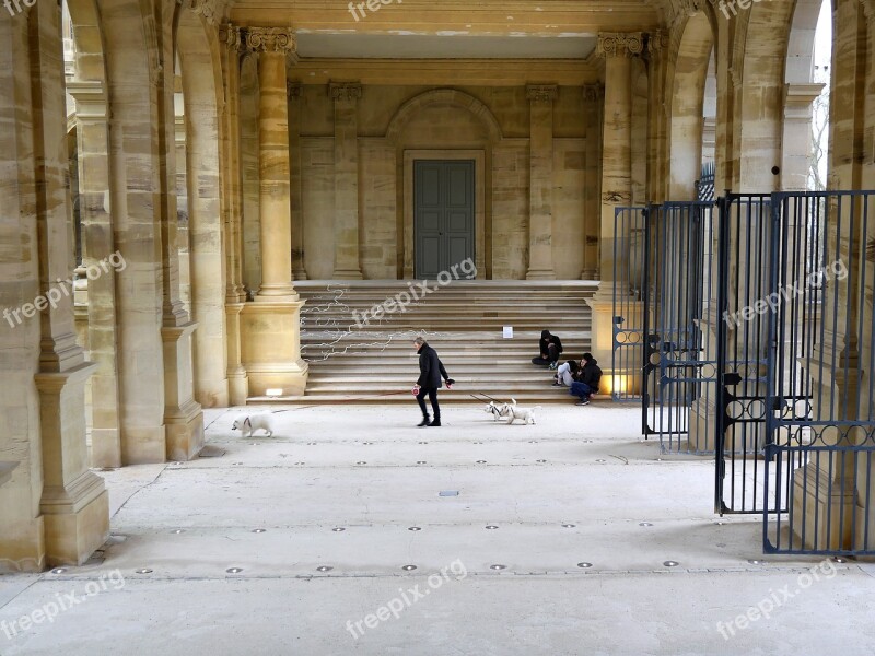 Castle Lunéville Dogs Walkers Markets