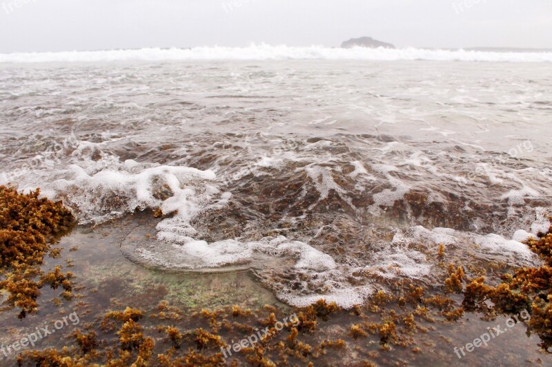 Beach Sea Seascape Nature Coast