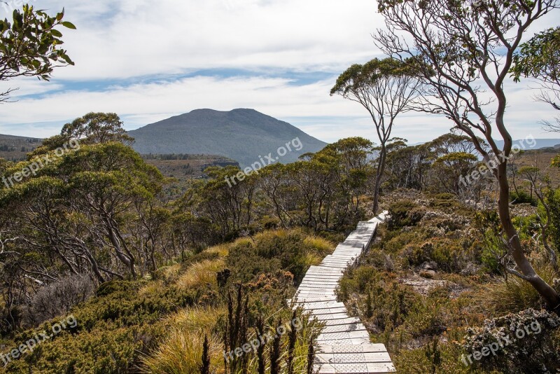 Overland Track Tasmania Wilderness Nature Landscape