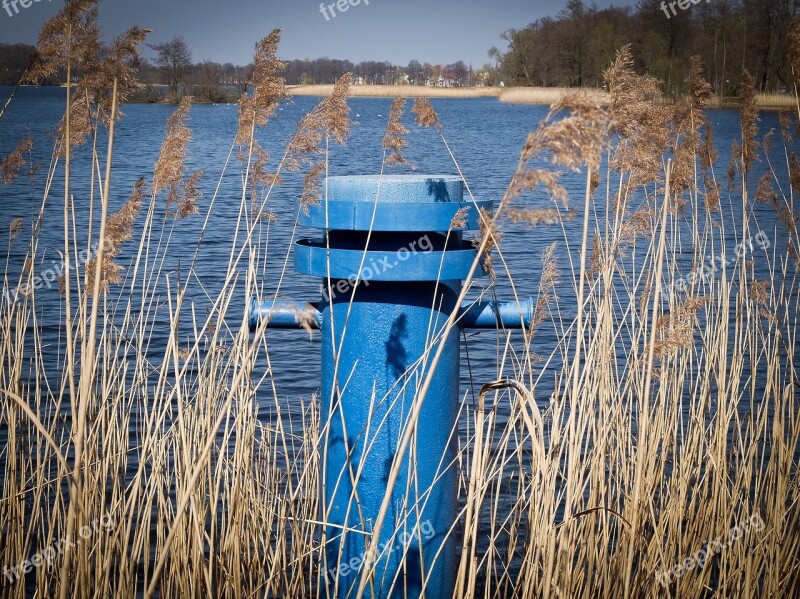 Sailboat Boat Lake Sails Holiday