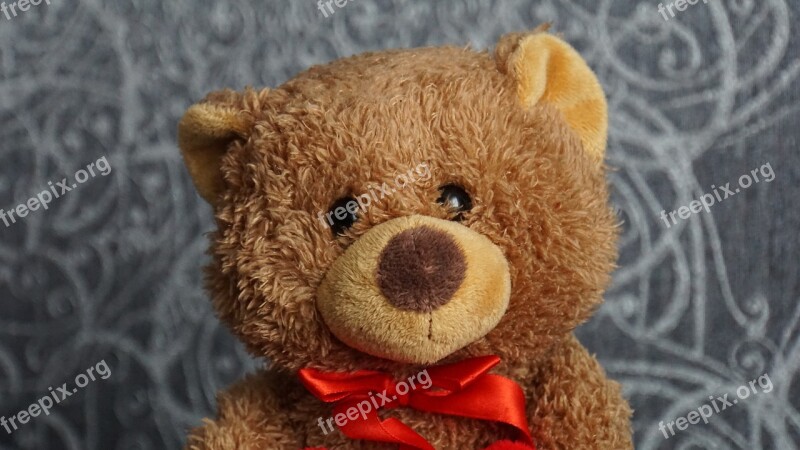 Teddy Teddy Bear Stuffed Animal Furry Teddy Bear Cute