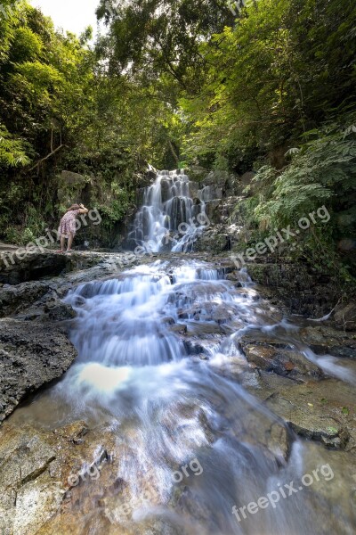 Tropical Jungle The Waterfall Vietnam Natural