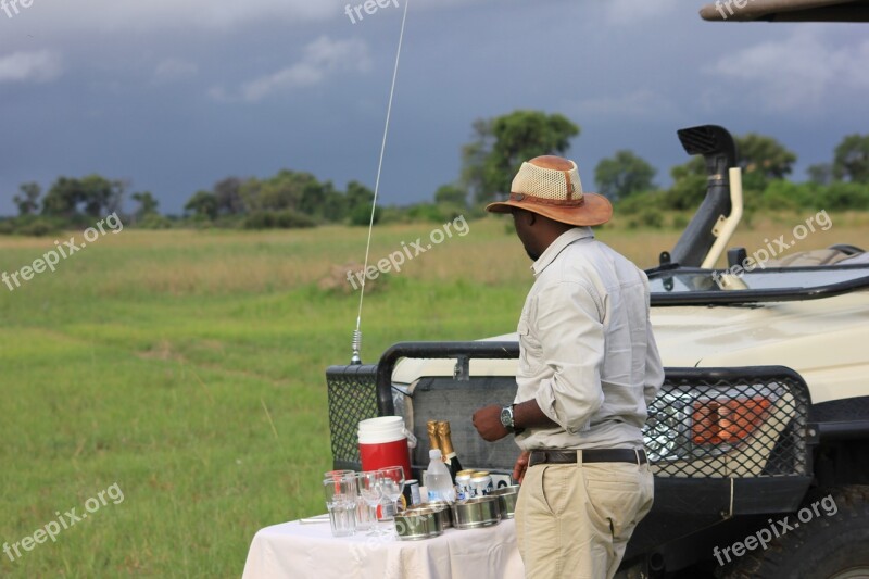 Safari Africa Nature Savannah Wilderness