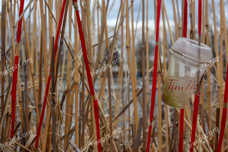 Garbage Plastic Beach Pollution Straws