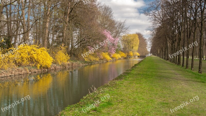 Landscape Trees Bank Nature Spring