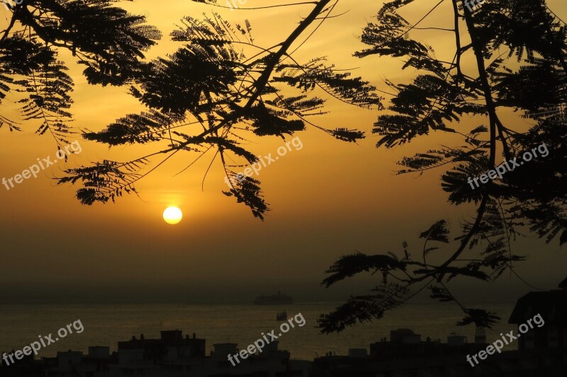 Sun Sunset Calm Backlight Horizon