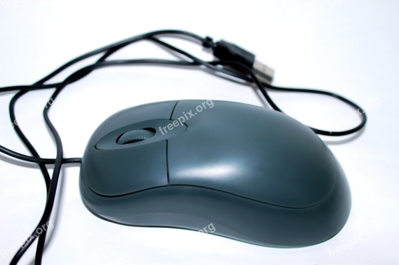 Computer Mouse White Black Gray