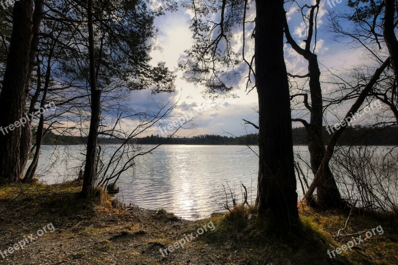 Lake Bank Tree Landscape Nature