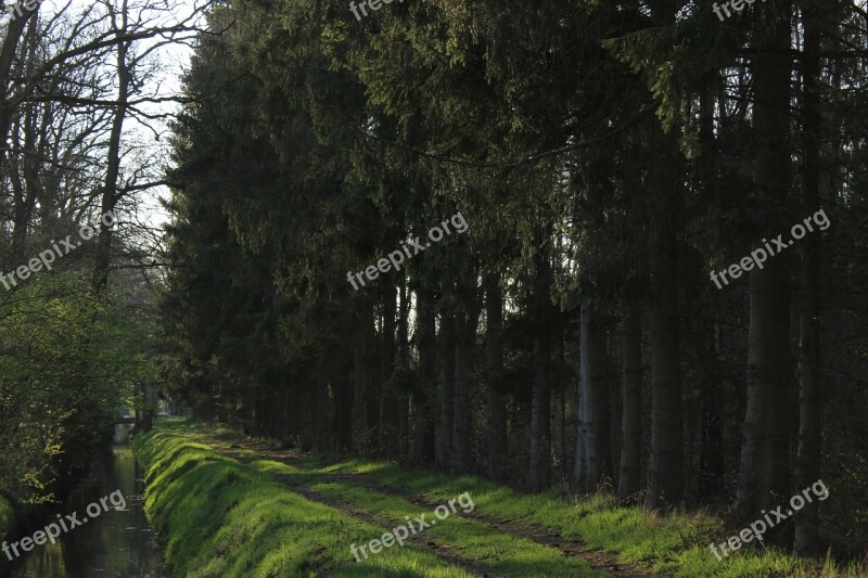 Green Spring Nature Vegetable Garden