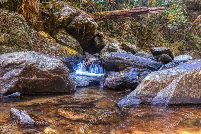 Water River Bach Forest Nature