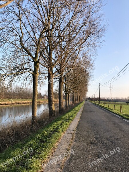 Landscape Nature Road Sun Tree