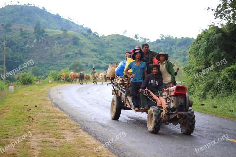 Highlands Car Cow The Countryside People Agriculture