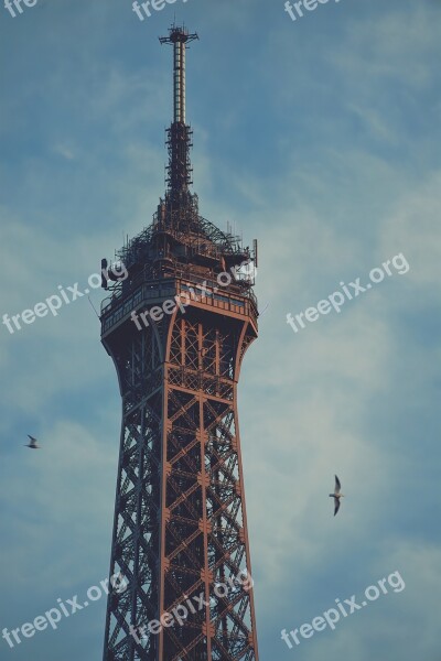 Eiffel Tower Great Birds Detail Architecture