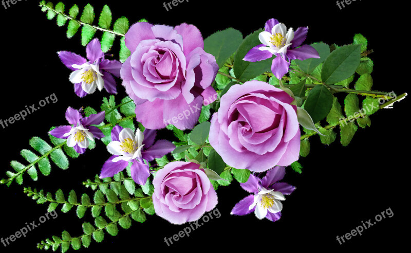 Flowers Roses Aquilegias Ferns Arrangement