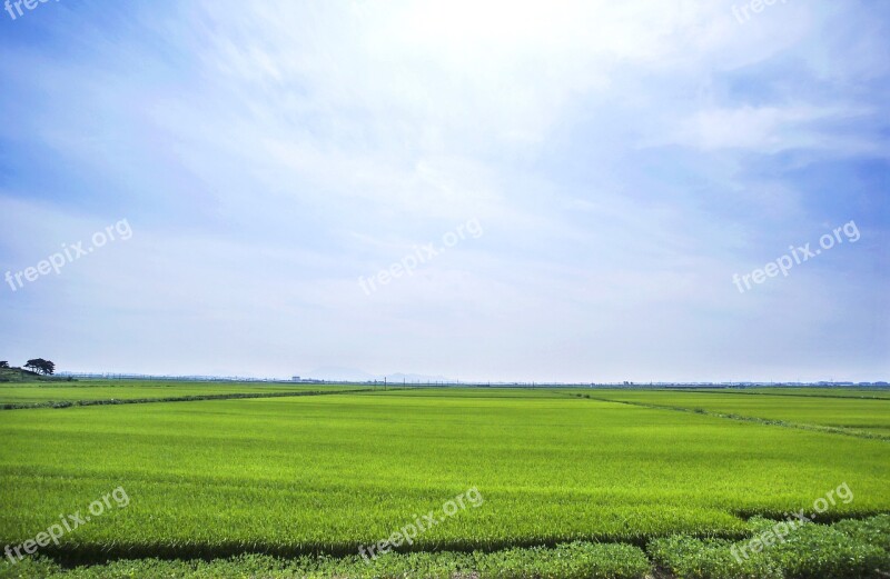 Boreas Rice Paddies Landscape Sky Free Photos