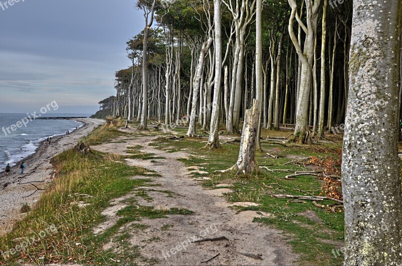 Nature Baltic Sea Coast Germany Mecklenburg Western Pomerania