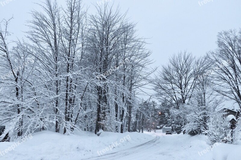 Snow Street Winter City Cold