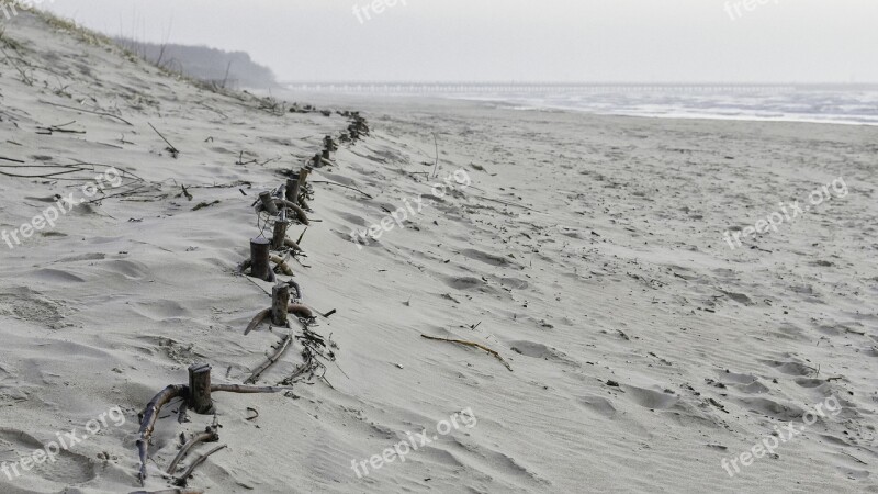 Beach Dunes Sand Path Landscape