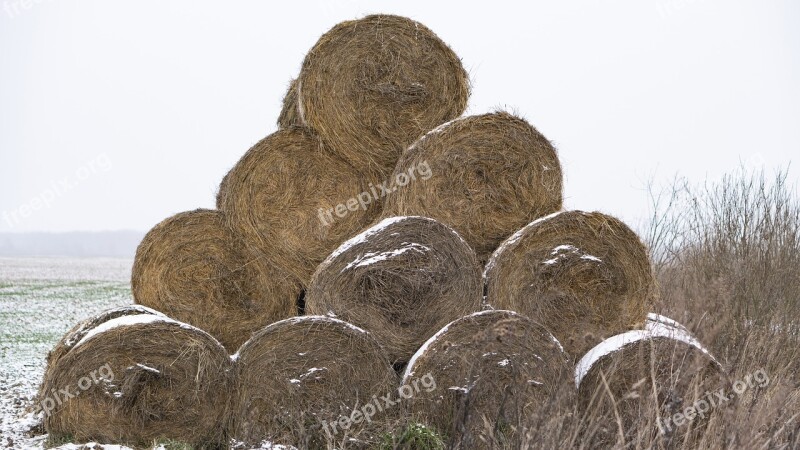 Hay Bale Winter Cold Overcast