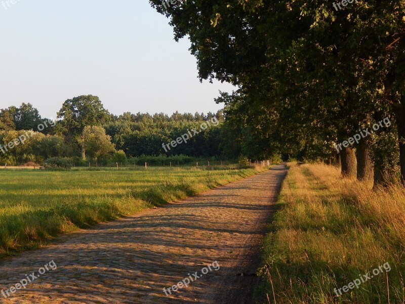 Road Village Trees Country Road Stone Road