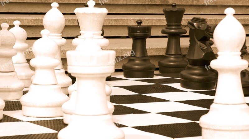 Chess Game Intelligence Strategy The Chessboard