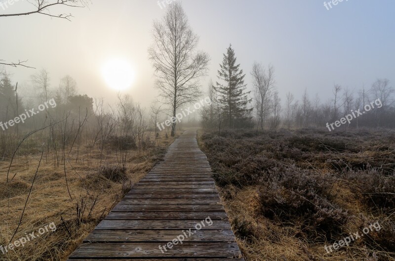 Bad Wurzach Reed Moor Nature Conservation Landscape